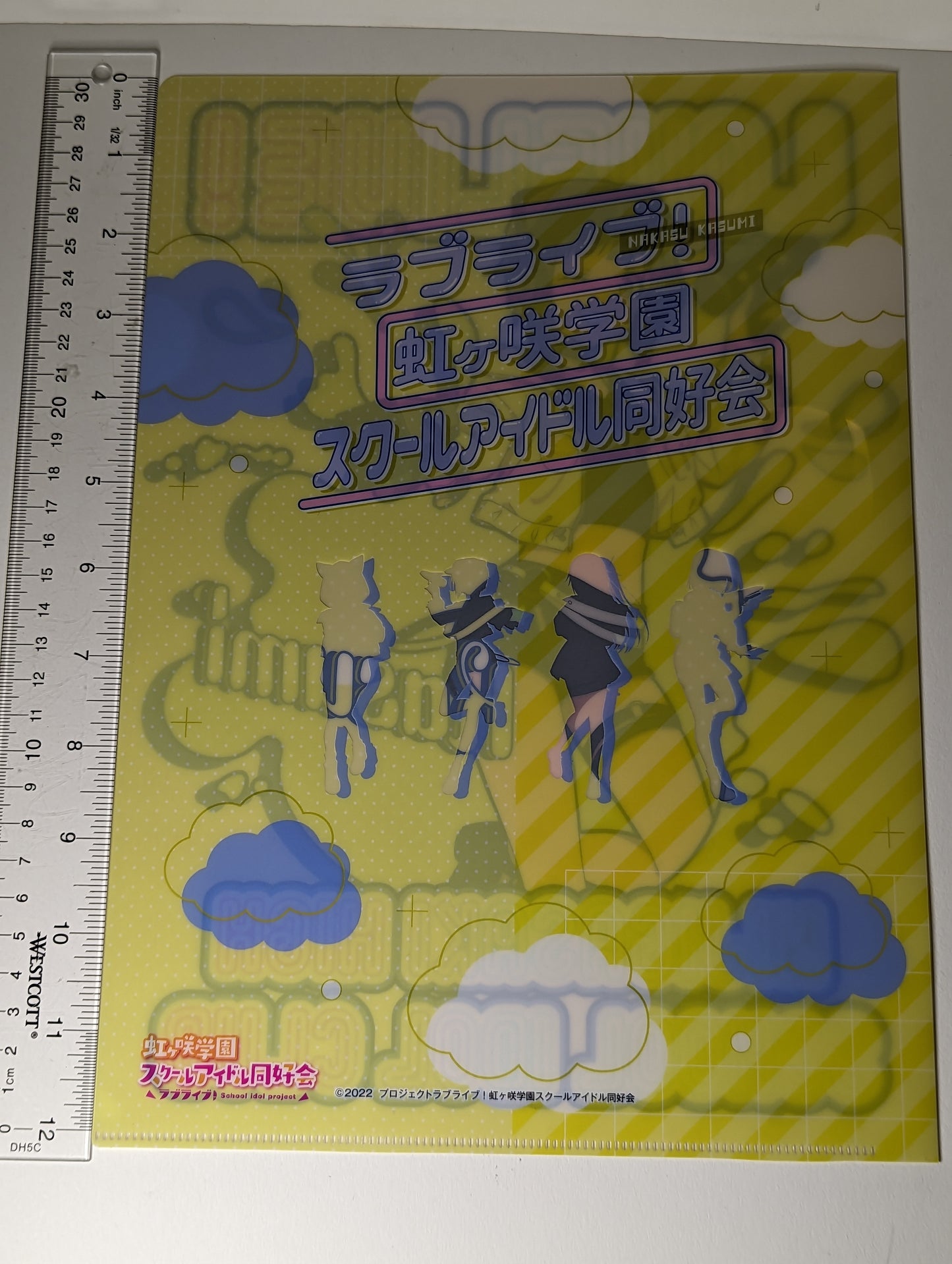 Kasumi Nakasu Love Live Nijigasaki x Village Vanguard Clear File