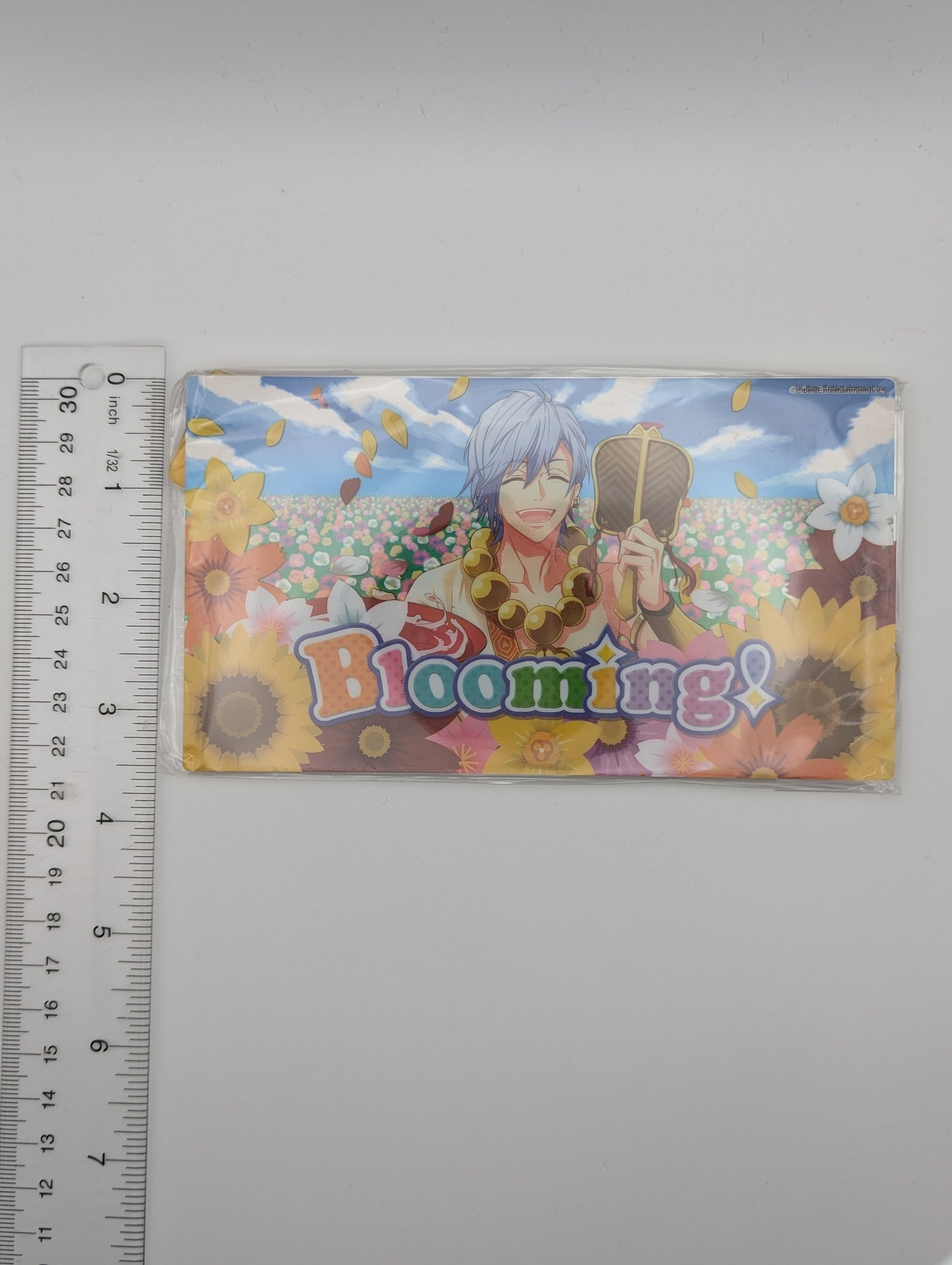 Misumi Ikaruga A3! Acrylic Stand