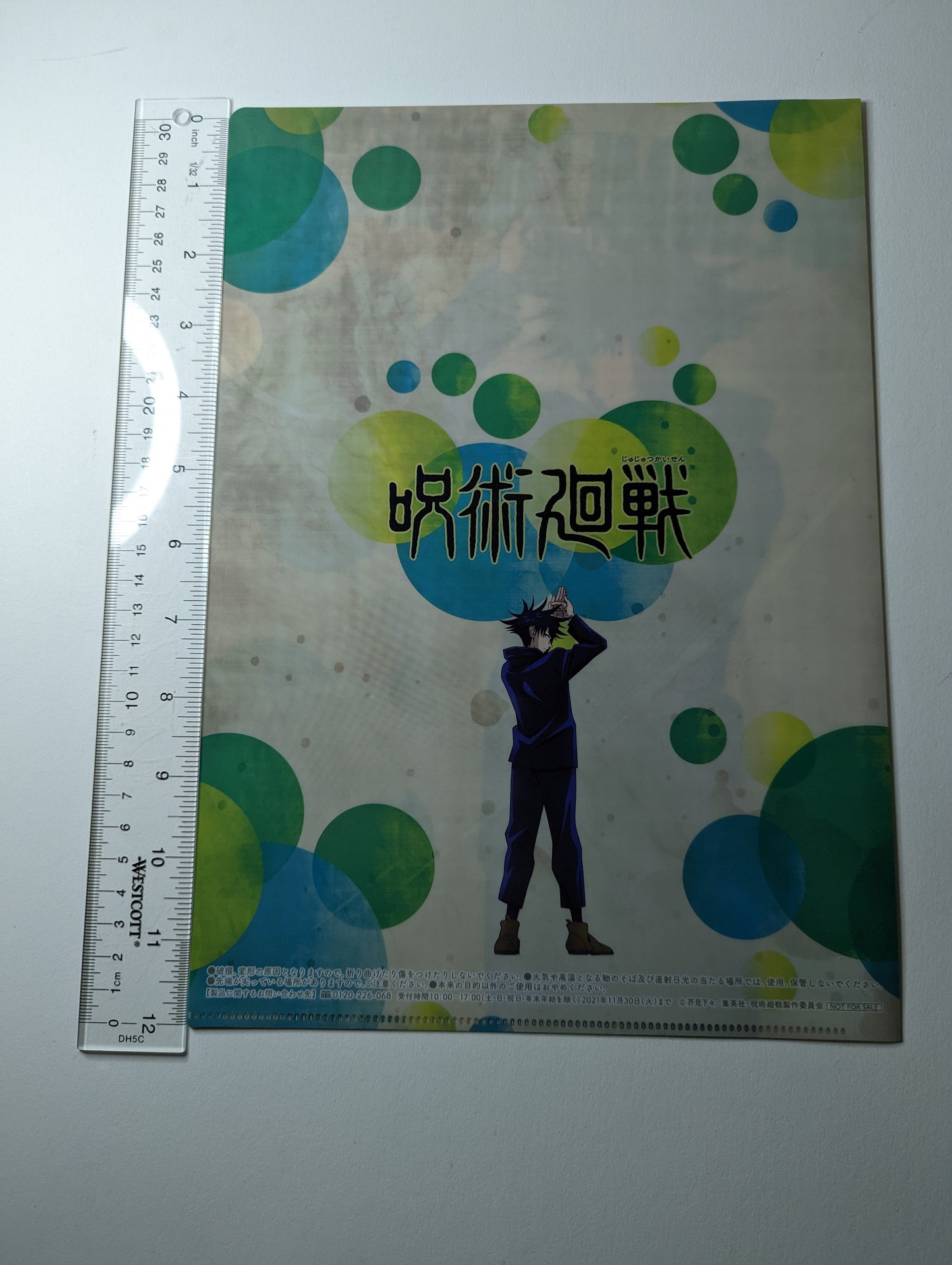 Megumi Fushiguro Jujutsu Kaisen JJK Clear File