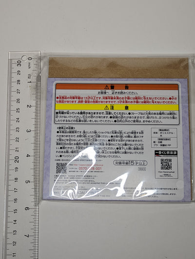 Rem Re Zero Canvas Art Board