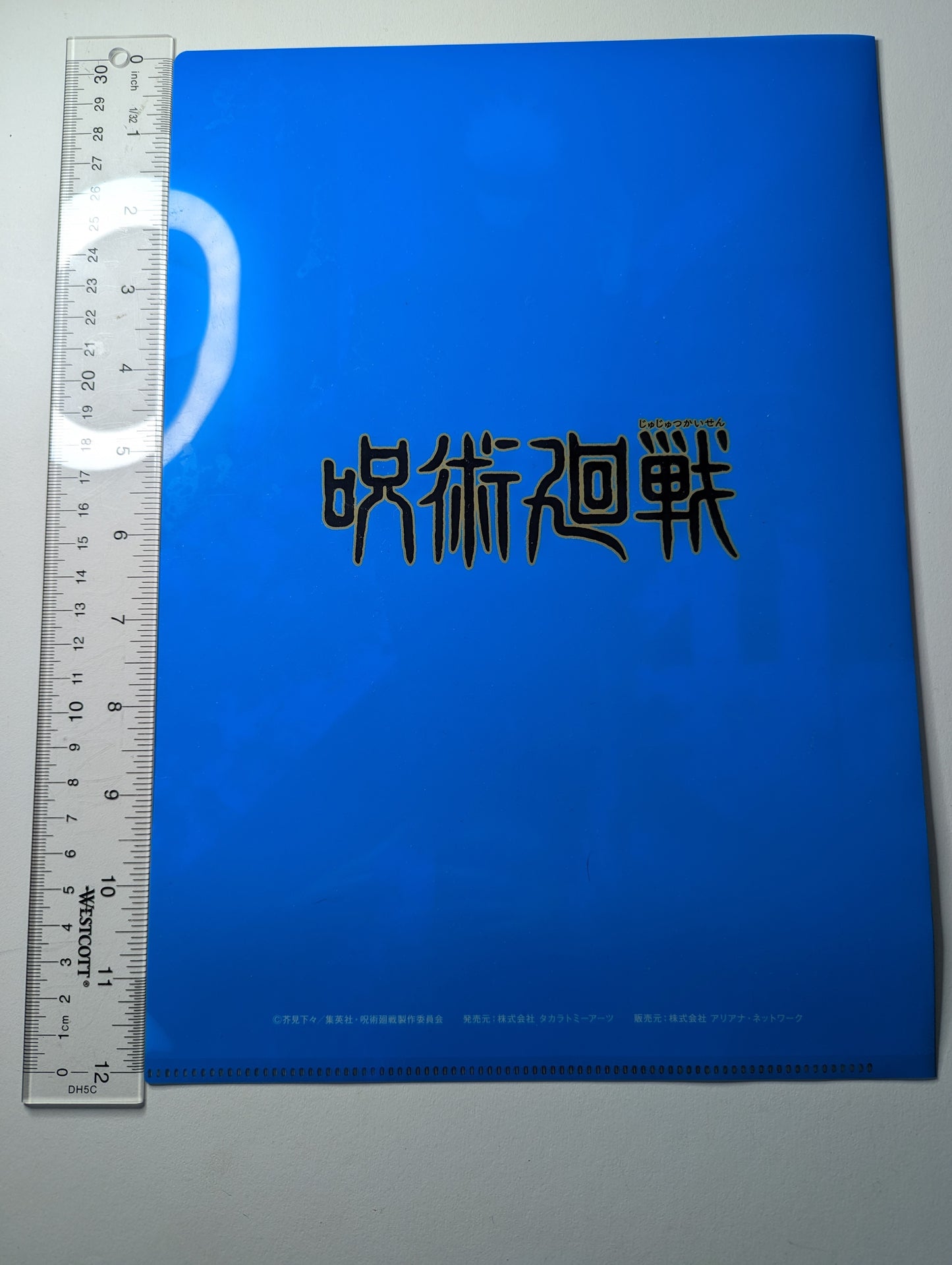 Satoru Gojo Jujutsu Kaisen JJK Clear File