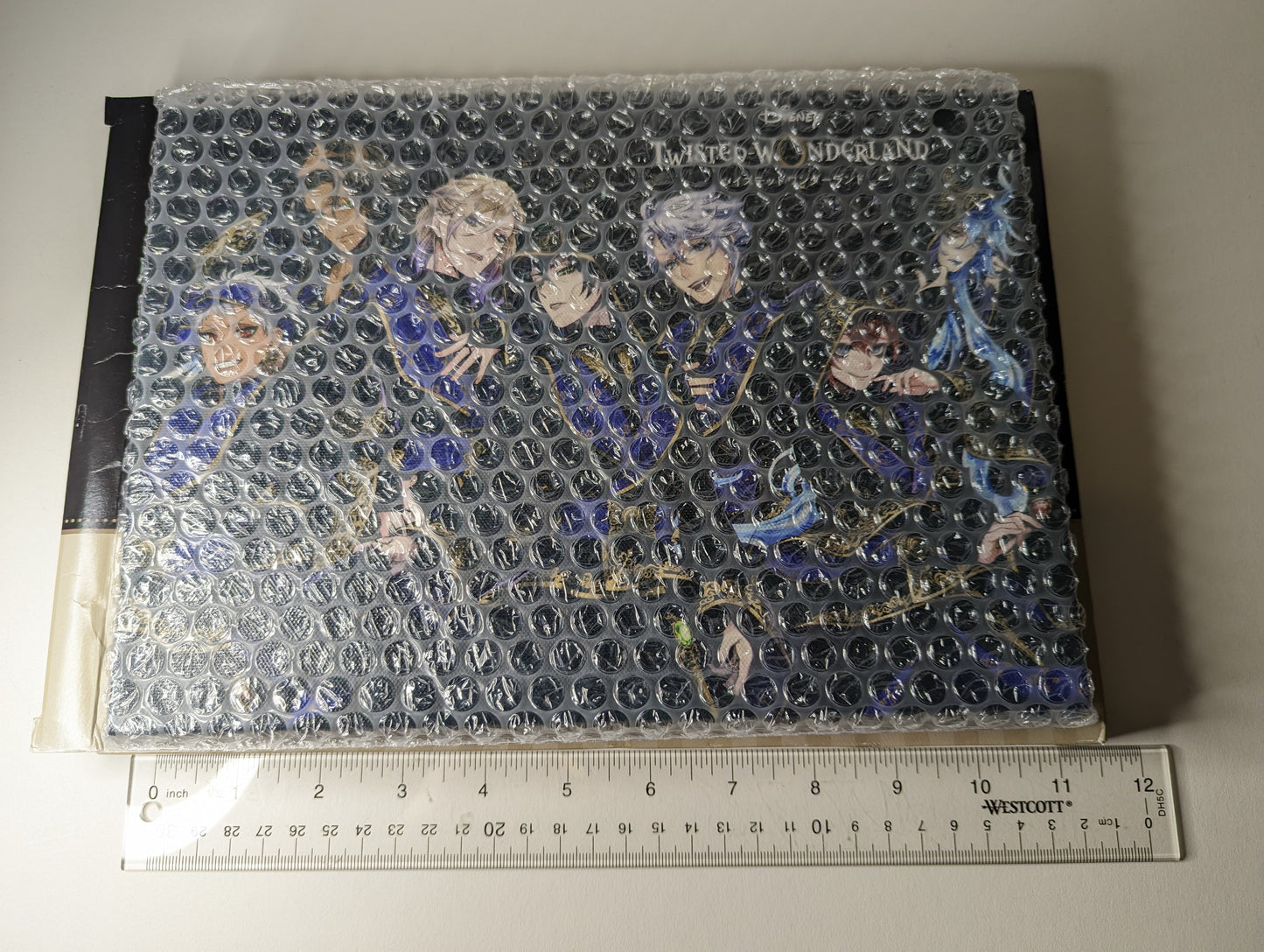 Dorm Leaders Twisted Wonderland Kuji Canvas Board