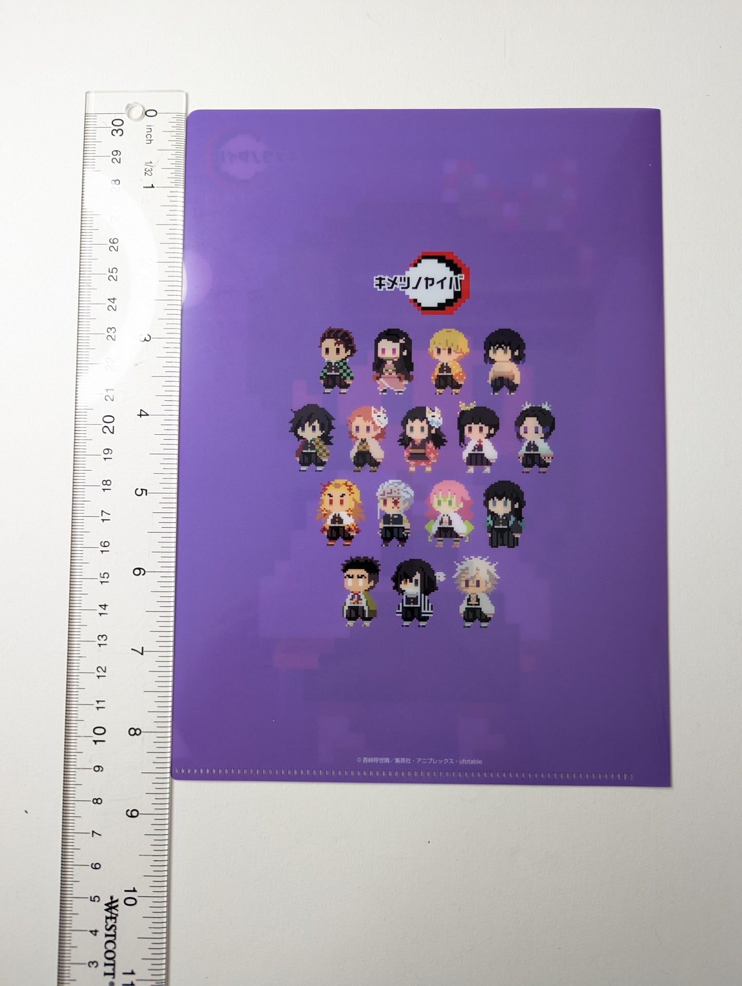 Kanao Tsuyuri Demon Slayer Kimetsu no Yaiba Mini Clear File
