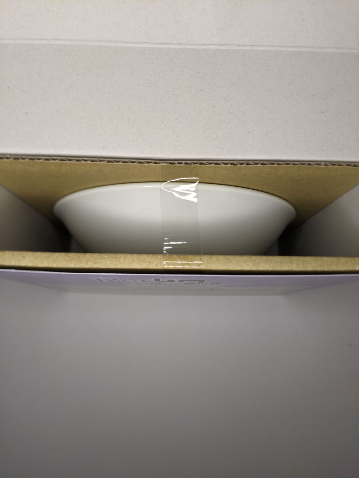 Rem & Ram Re:Zero Girls Who Landed in Winter Ichiban Kuji Prize E Bowl Dish
