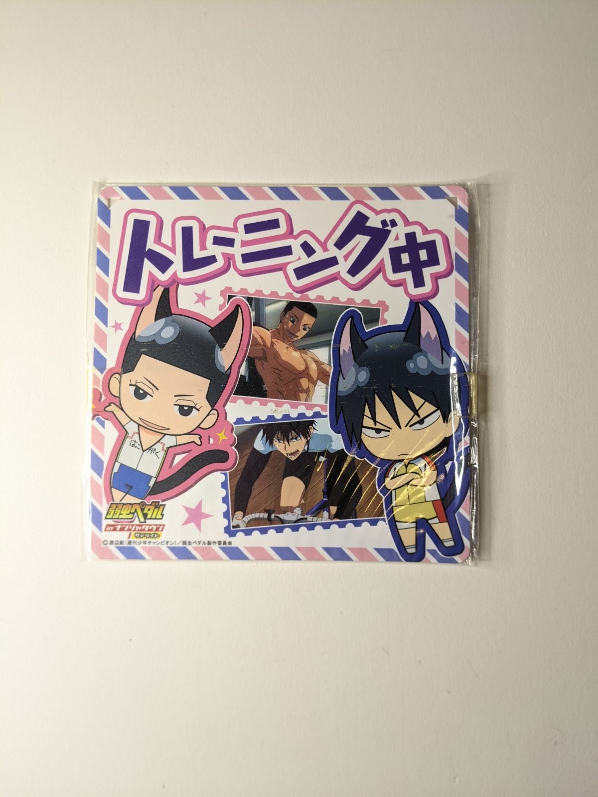 Shinjo Kinjou Shunsuke Imaizumi Yowamushi Pedal Plastic Poster Door Plate