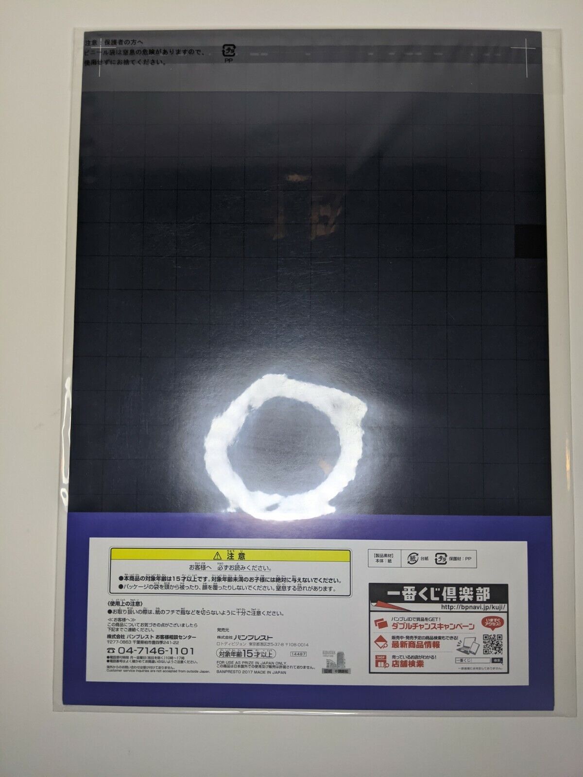 Kizumonogatari Ichiban Kuji Premium E Prize Photo Book Kiss-shot Young Ver