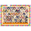 [PREORDER] Love Live Fan Fun Festival Clear Files