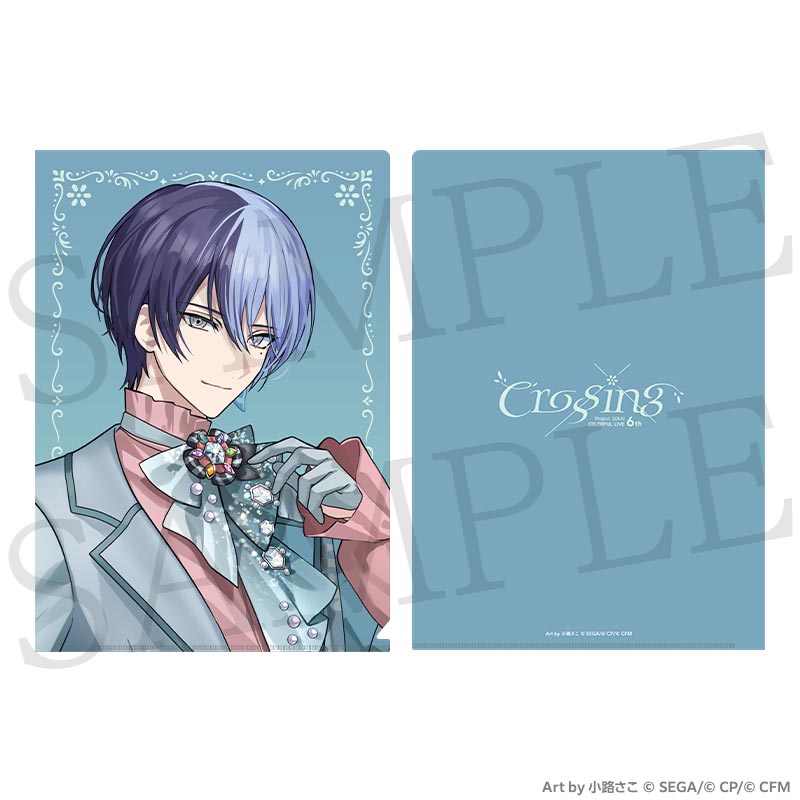 [PREORDER] Project Sekai 6th Live Crossing Clear Files