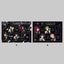 [PREORDER] Ensemble Stars Brightest Live "Test Flight" The Thunderbolt Memorial Flyers