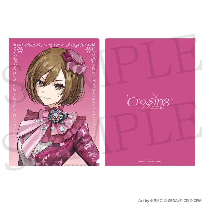 [PREORDER] Project Sekai 6th Live Crossing Clear Files