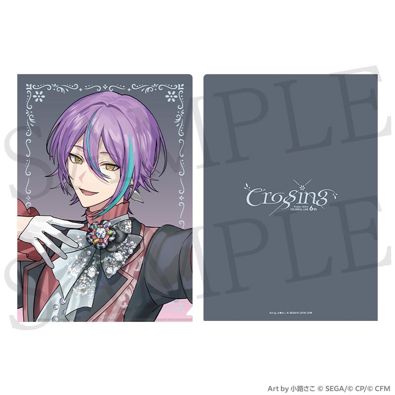 [PREORDER] Project Sekai 6th Live Crossing Clear Files