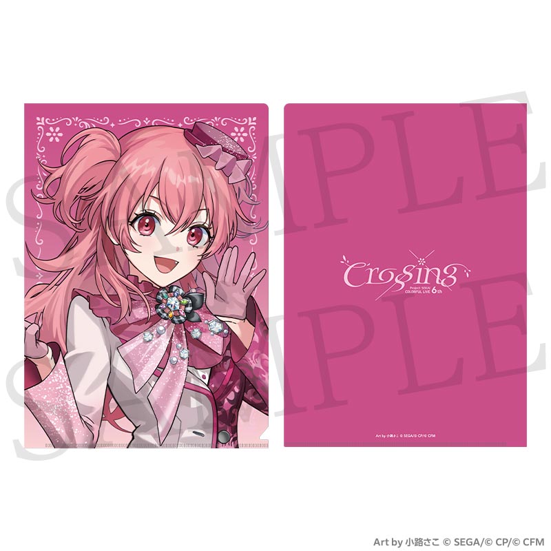 [PREORDER] Project Sekai 6th Live Crossing Clear Files