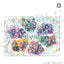 [PREORDER] Project Sekai 6th Live Crossing Main Visual Clear File