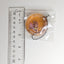 Hanamaru Kunikida Love Live Sunshine Liquid Shaker Keychain