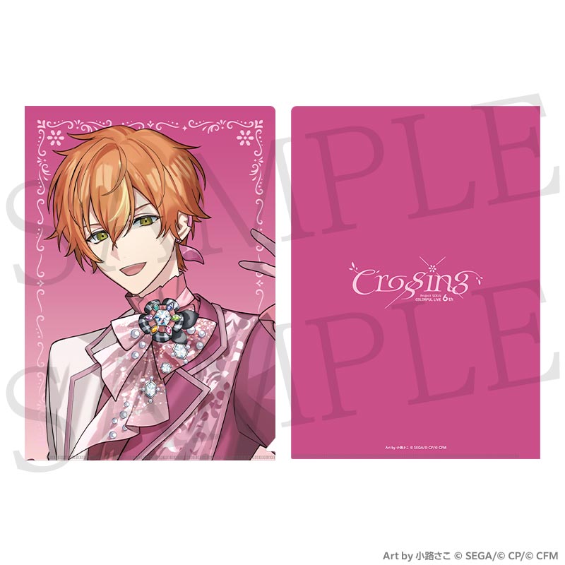 [PREORDER] Project Sekai 6th Live Crossing Clear Files