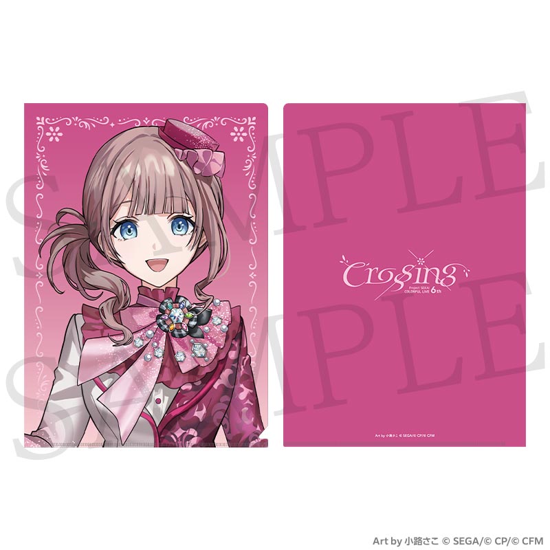 [PREORDER] Project Sekai 6th Live Crossing Clear Files