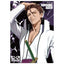 [PREORDER]  BLEACH×LAM -Soul Art Showcase Illustration Cards