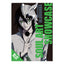 [PREORDER]  BLEACH×LAM -Soul Art Showcase Clear Files