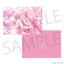 [PREORDER] Project Sekai Anniversary/Birthday Illustration 2024-2025 Clear Files