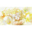 [PREORDER] Project Sekai Anniversary/Birthday Illustration 2024-2025 Posters