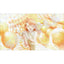[PREORDER] Project Sekai Anniversary/Birthday Illustration 2024-2025 Posters