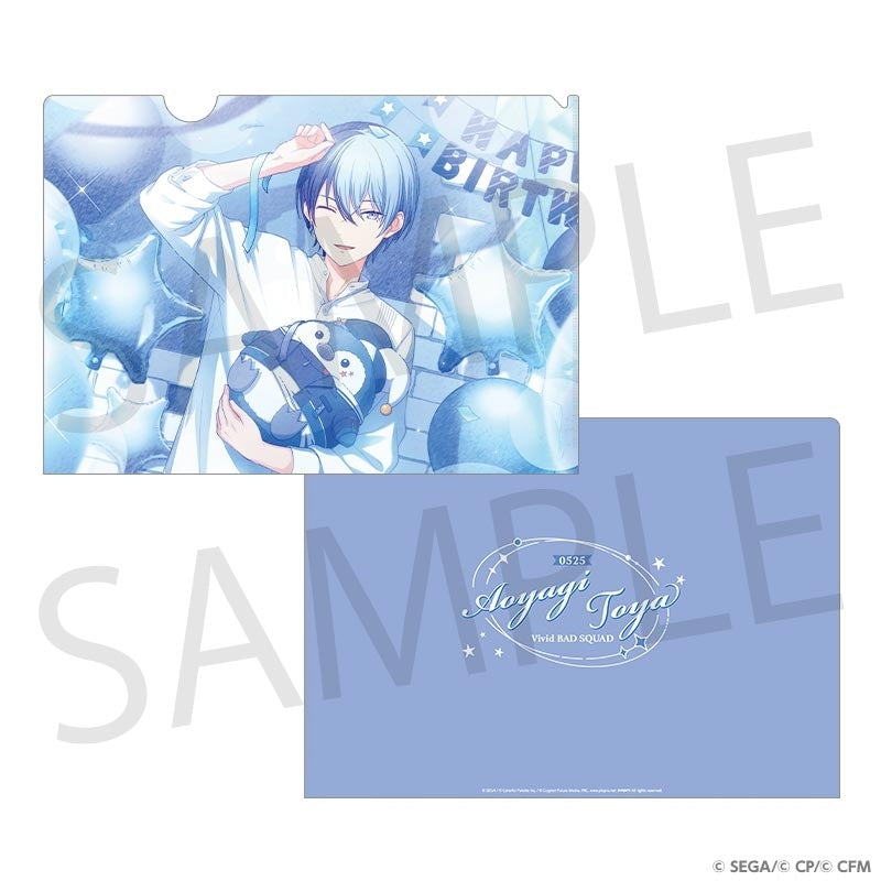 [PREORDER] Project Sekai Anniversary/Birthday Illustration 2024-2025 Clear Files