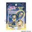 [PREORDER] Aikatsu! Starry Sky Dress ver. Sticker Sets