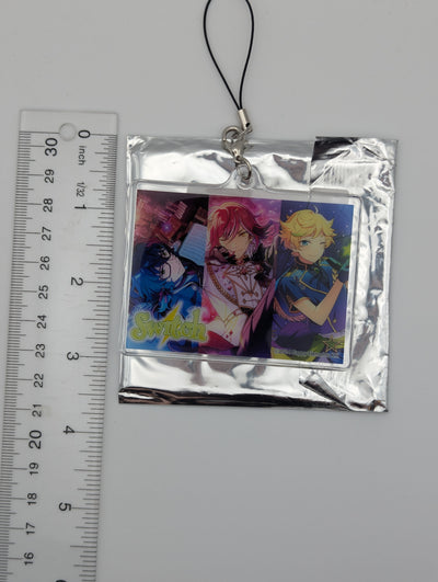 Switch Ensemble Stars PVC Keychain