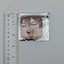 Chiaki Morisawa Ensemble Stars Squishy Badge