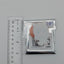 Holo Spice and Wolf Chokonto! Acrylic Stand