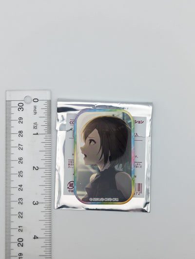 MEIKO Project Sekai Rectangle Can Badge