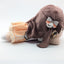 Megumi Fujishima Love Live Hasunosora ～Bloom the smile, Bloom the dream!～ NNN Nesoberi