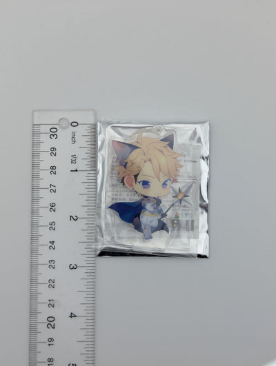 Arashi Narukami Ensemble Stars CN Kitty Acrylic Stand
