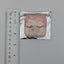 Shu Itsuki Ensemble Stars Squishy Badge