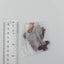 Maki Nishikino Love Live Rubber Strap