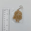 Kaho Komiya Idolmaster Rubber Strap