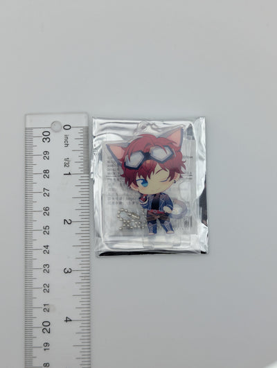 Hiiro Amagi Ensemble Stars CN Kitty Acrylic Stand