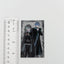 Hatsune Miku & KAITO Vocaloid STEAKA Photocard