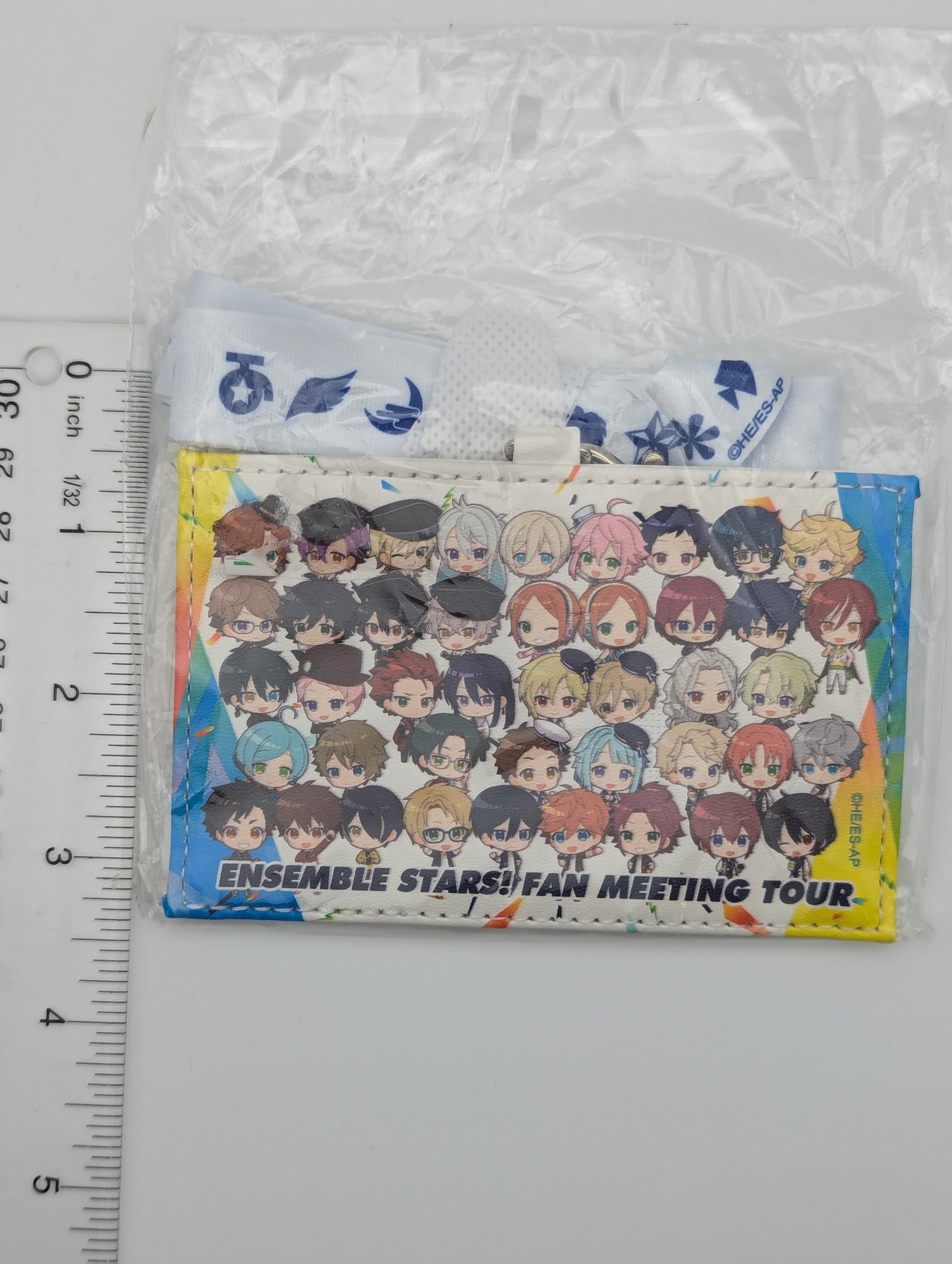 Ensemble Stars Fan Meeting Tour Pass Case