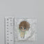 Midori Takamine Ensemble Stars Acrylic Stand