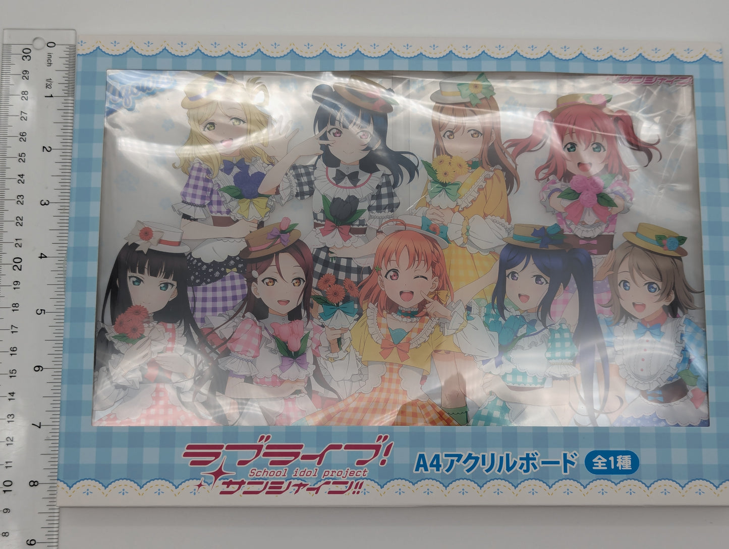 Love Live Sunshine fanfancy+ GiGO Acrylic Panel