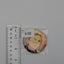 Nagisa Ran Ensemble Stars Can Badge
