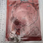 Red Acrylic Dream Catcher Badge Holder (Multi Size)