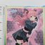 Airi Momoi Project Sekai Shikishi