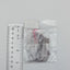 Riko Sakurauchi Love Live! Sunshine Rubber Strap