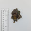 Kotori Minami Love Live Rubber Strap