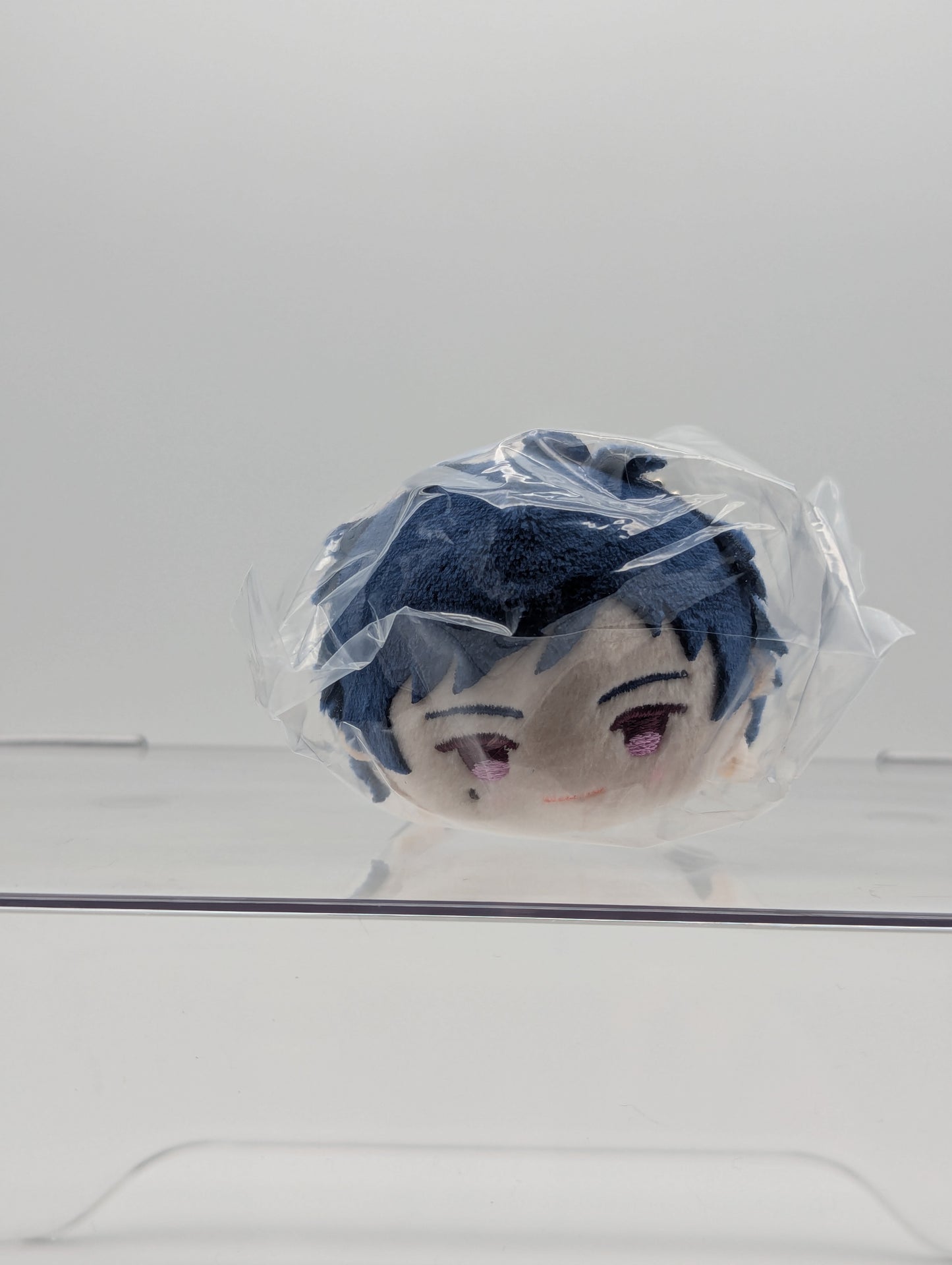 Yuzuru Fushimi Ensemble Stars Mochi Mochi Mascot Plush