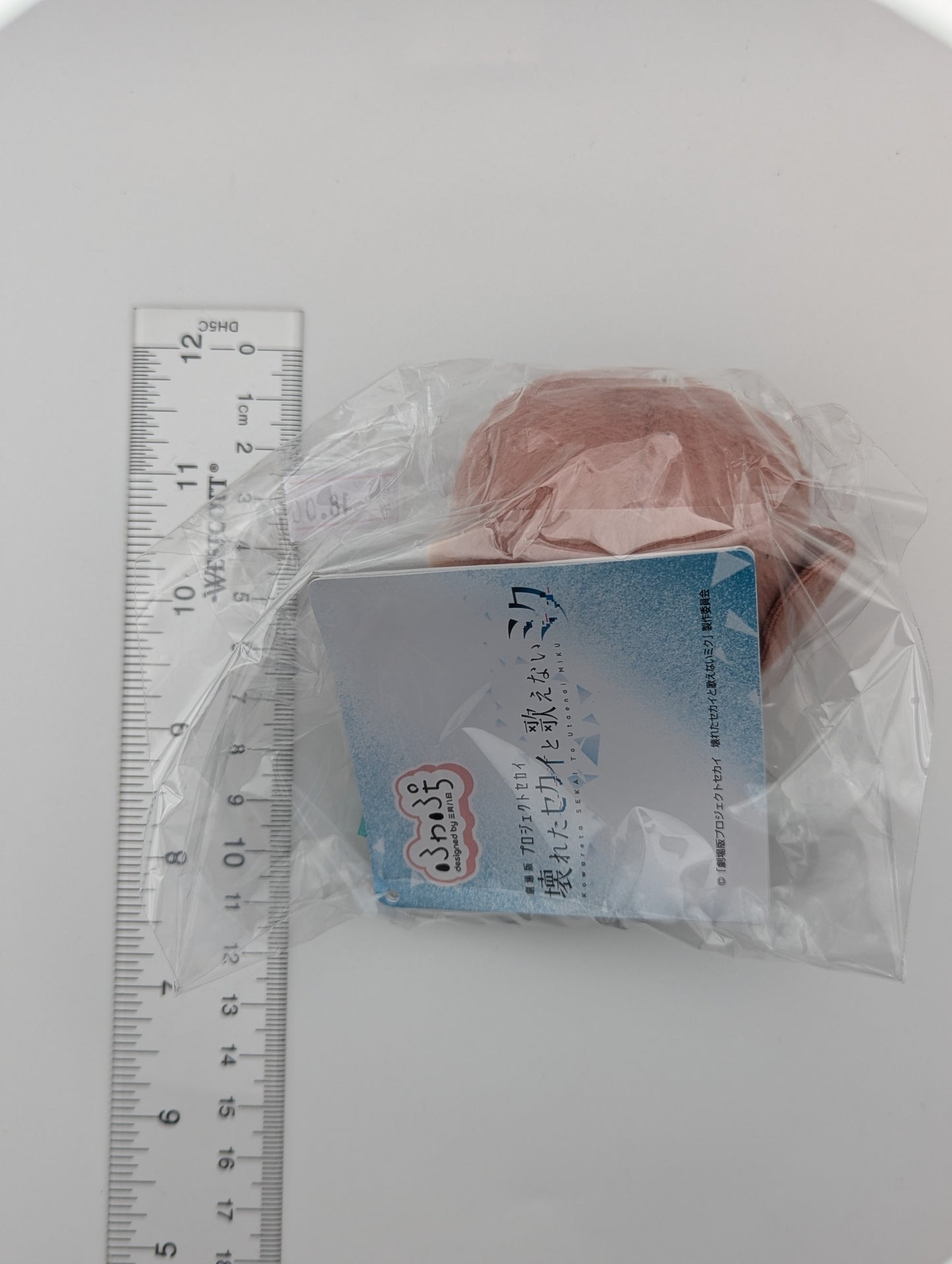 Honami Mochizuki Project Sekai The Movie Nui