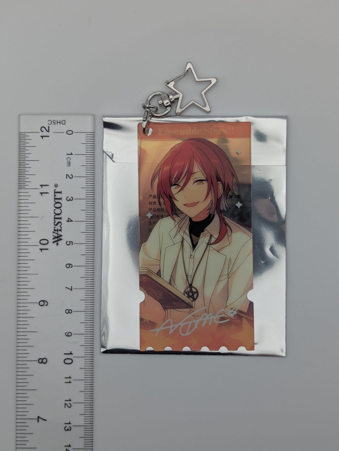 Natsume Sakasaki Ensemble Stars CN Acrylic Keychain
