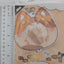 Orange PVC Cat Badge Holder (5.8-7.5CM)